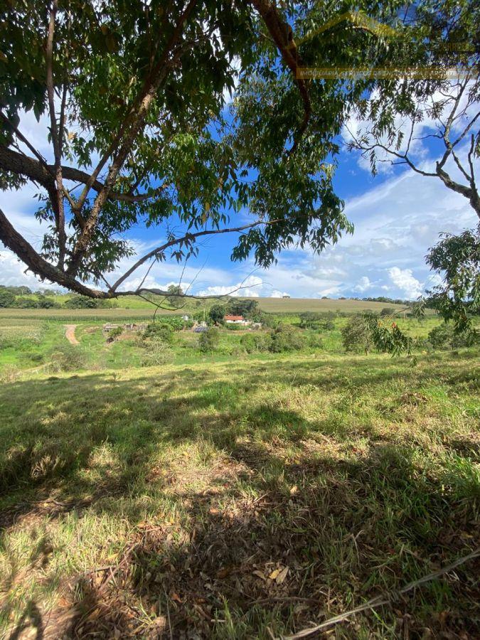 WhatsApp Image 2026-02-04 at 16.06.33 (2).jpeg